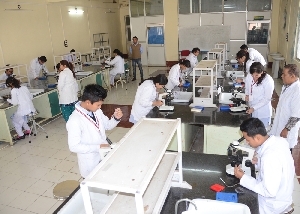 college gallery image