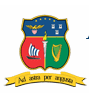 American College Dublin logo