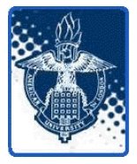 American University in London logo