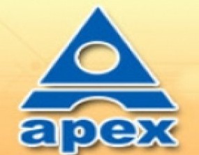 Apex Institute of Technology and Management Karnal logo