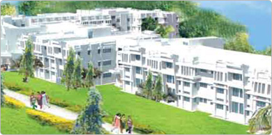 college gallery image