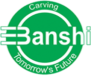 Banshi College Of Management And Technology logo