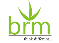 BRM International Institute of Technology logo