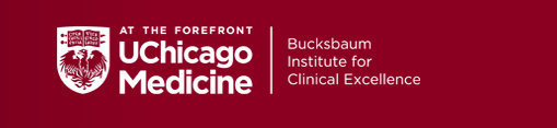 Bucksbaum Institute for Clinical Excellence logo
