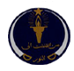 Cadet College Kohat logo
