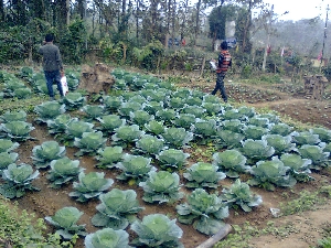 college gallery image