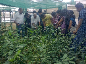 college gallery image