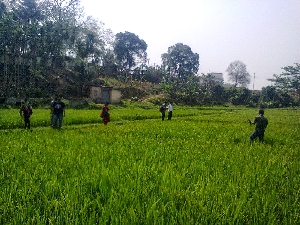 college gallery image