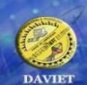 DAV Institute of Engineering and Technology logo