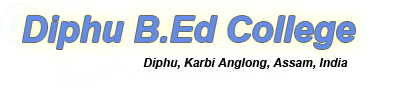 Diphu B ed  College logo