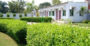 college gallery image