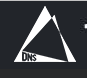 DNS International Teacher Training College logo