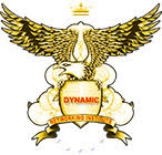 Dynamic Networking Institute logo