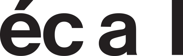 Ecole cantonale d art de Lausanne ECAL logo