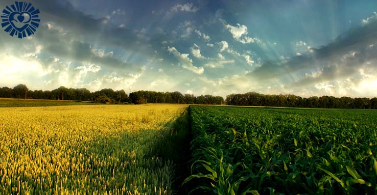 college gallery image