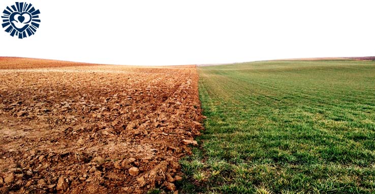 college gallery image