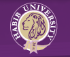 Habib University logo