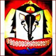 Himachal Dental College and Hospital logo