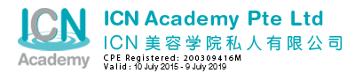 ICN Academy logo