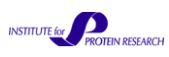 Institute for Protein Research logo