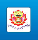 INTERNATIONAL CENTER FOR AYURVEDIC STUDIES logo