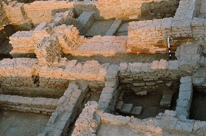 college gallery image