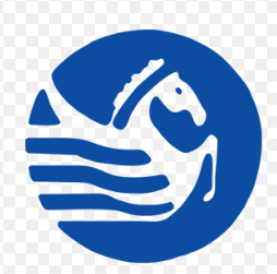 Modi Academic International Institute	 logo