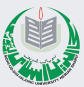 Mohi Ud Din Islamic University logo