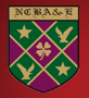 National College of Business Administration and Economics logo