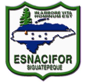 National School of Forestry Science ESNACIFOR logo