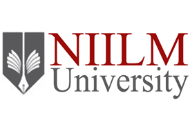 NIILM University Kaithal logo
