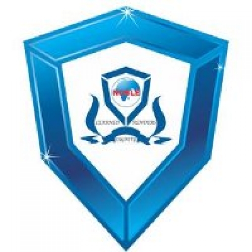 Noble Institute of Management And Technology logo