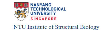 NTU Institute of Structural Biology logo