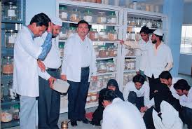 college gallery image