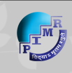 Prestige Institute of Management and Research logo