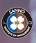 Sanno University logo