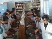 college gallery image