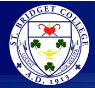 St Bridget College logo