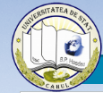 State University Bogdan Petriceicu Hasdeu from Cahul logo