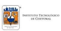 Technological Institute of Chetumal logo