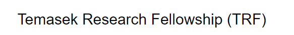 Temasek Research Fellowship NUS logo