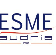The Ecole Speciale de Mecanique et Delectricite logo