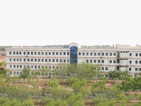 college gallery image