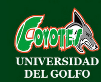 Universidad del Golfo de Mexico logo