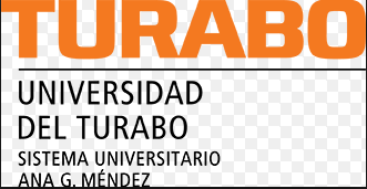 Universidad Del Turabo logo