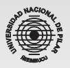 Universidad Nacional de Pilar logo