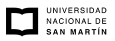 Universidad Nacional de San Martin logo