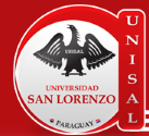 Universidad San Lorenzo logo
