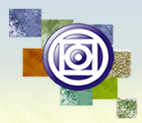 Universidade Federal de Mato Grosso logo