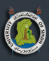 University of Sindh logo